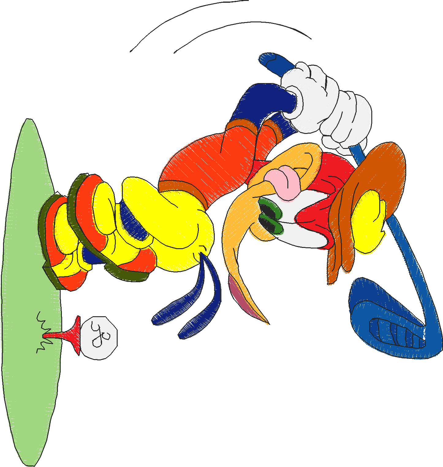 Woddy (31)